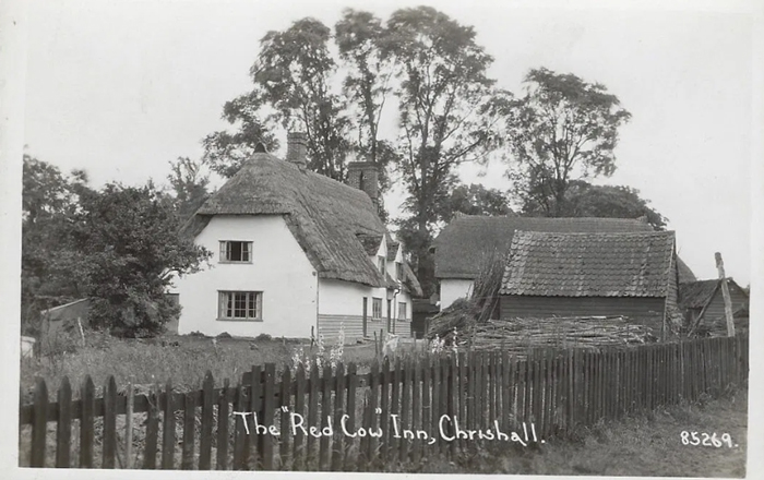 A historical photo of the red cow